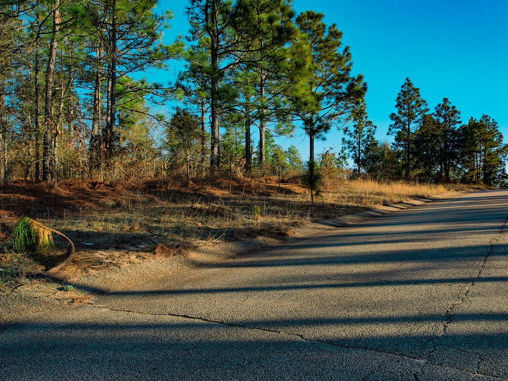 4667 Deans Bridge Road