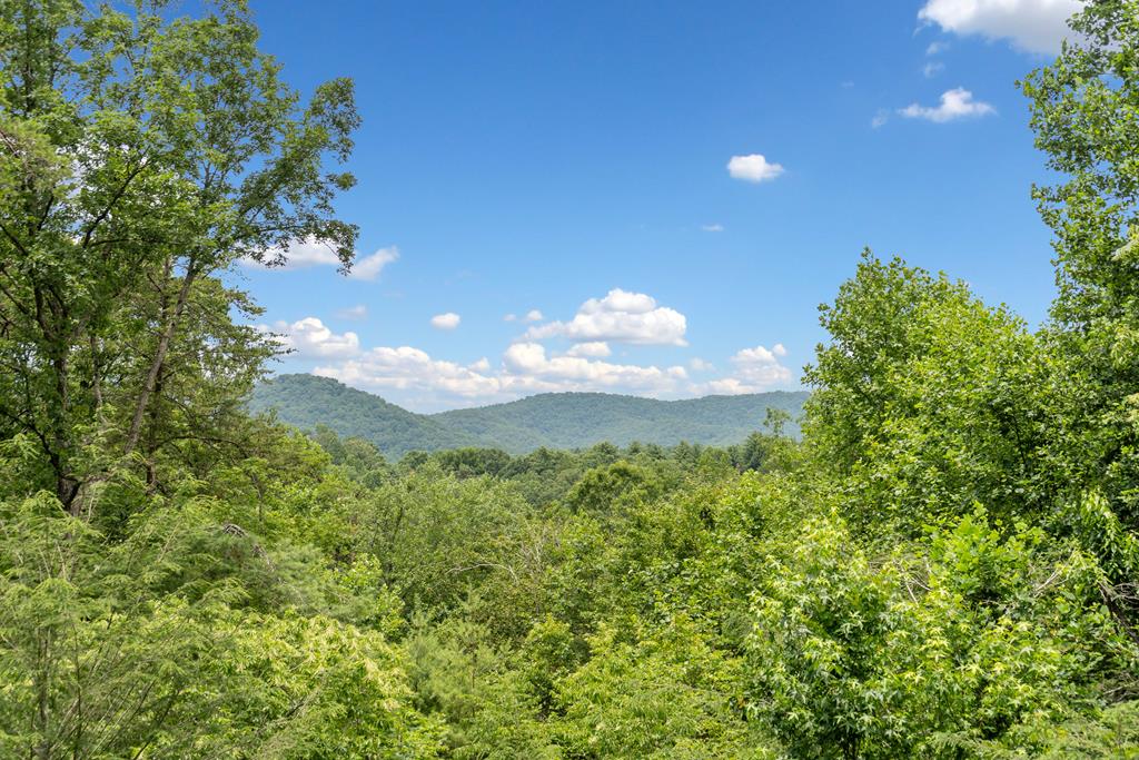 1172 Settlers Ridge Road