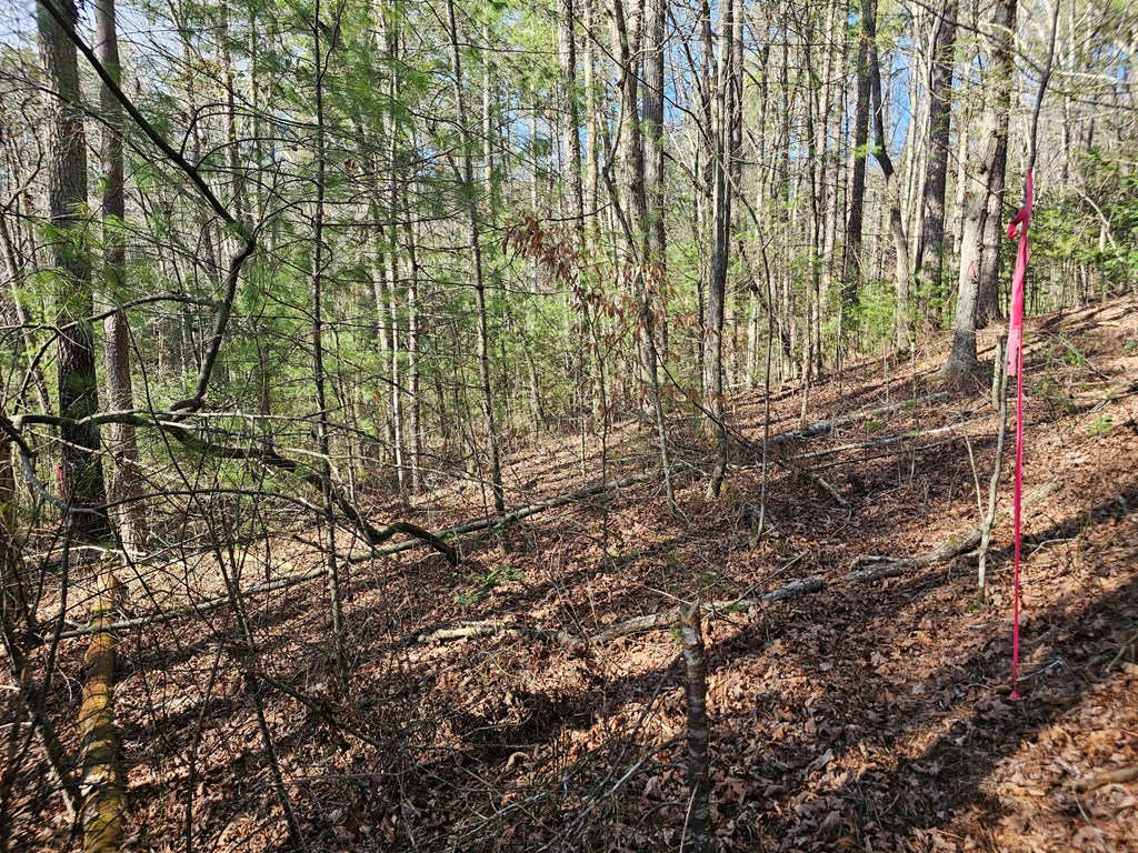 Lot 77 Roaring Forks Lane