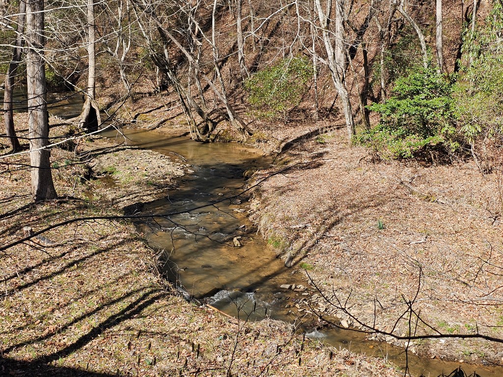 Lot 77 Roaring Forks Lane