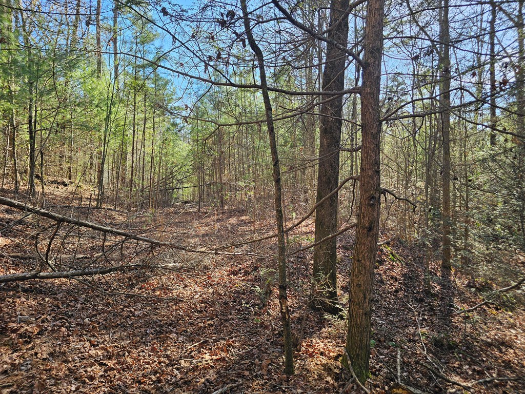 Lot 77 Roaring Forks Lane