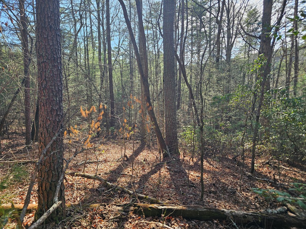 Lot 77 Roaring Forks Lane