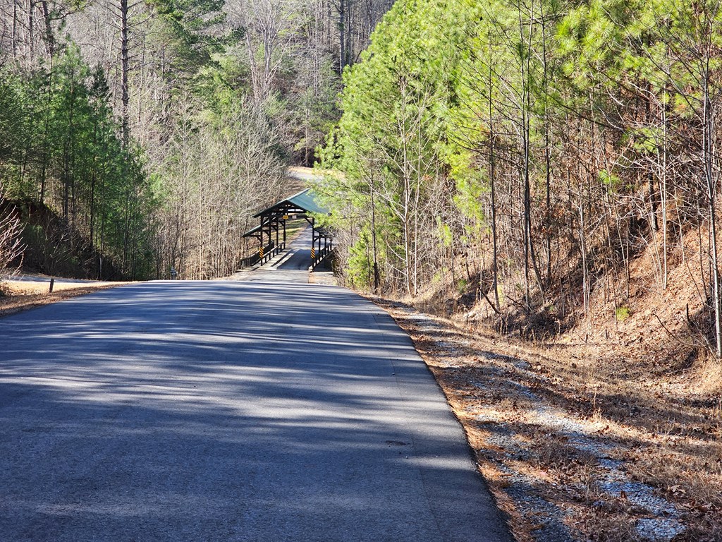 Lot 77 Roaring Forks Lane