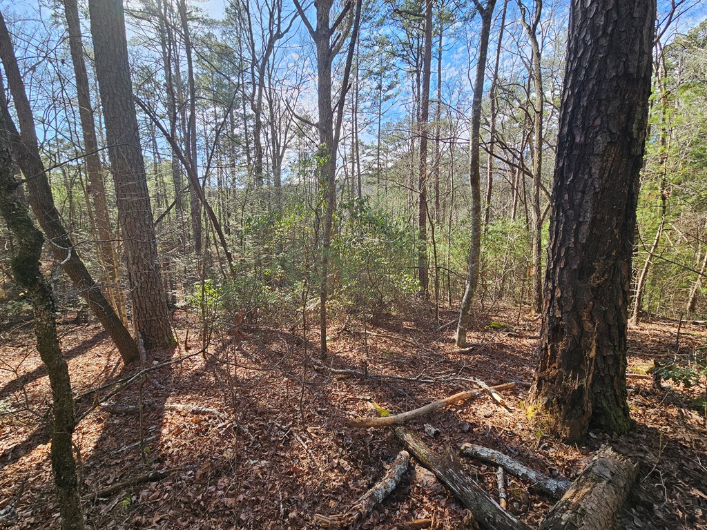 Lot 77 Roaring Forks Lane