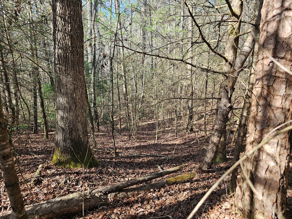 Lot 77 Roaring Forks Lane
