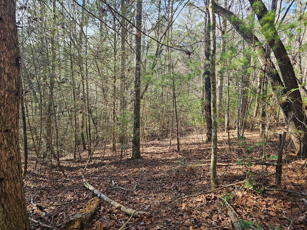 Lot 77 Roaring Forks Lane