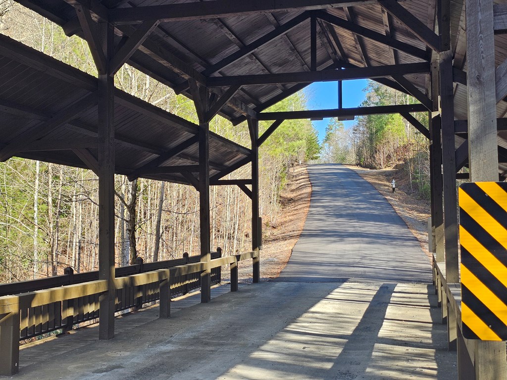 Lot 77 Roaring Forks Lane