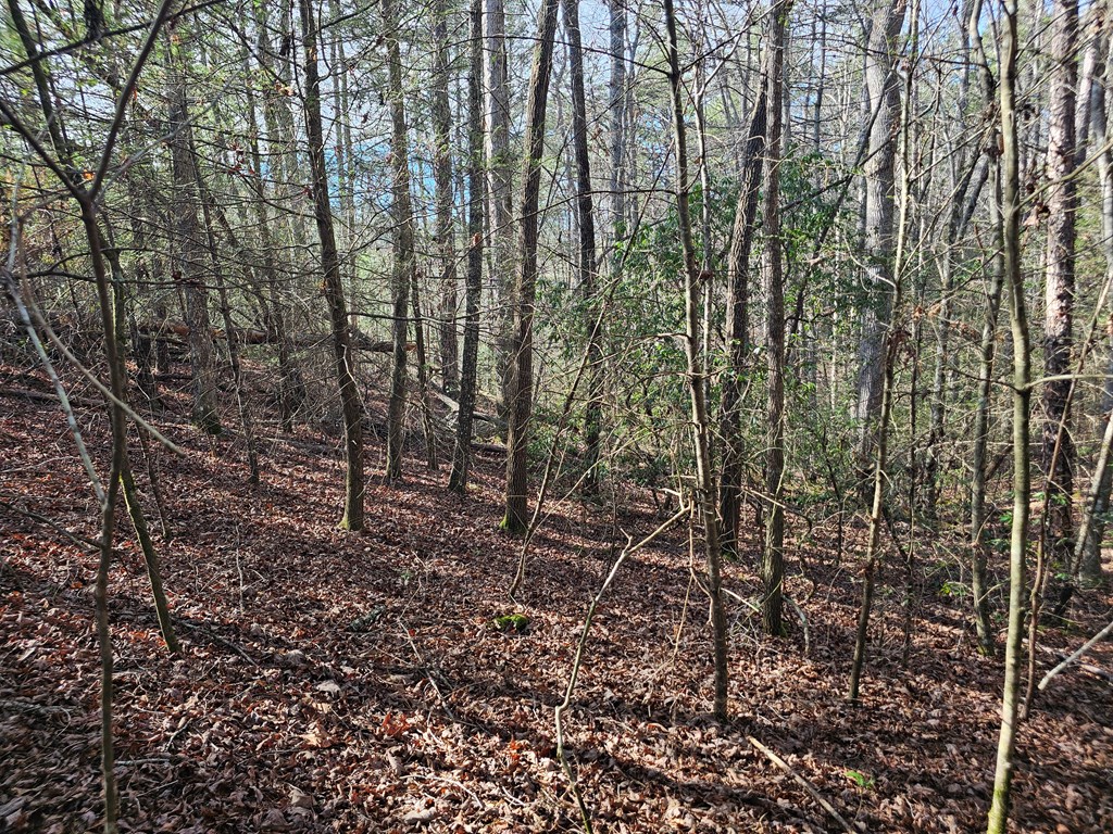 Lot 77 Roaring Forks Lane