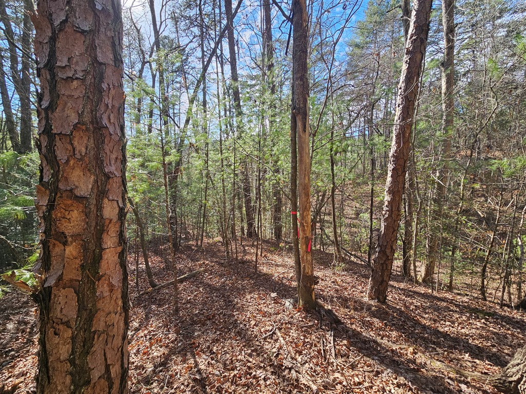 Lot 77 Roaring Forks Lane