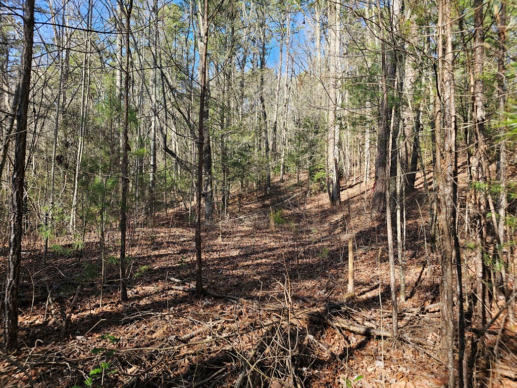 Lot 77 Roaring Forks Lane