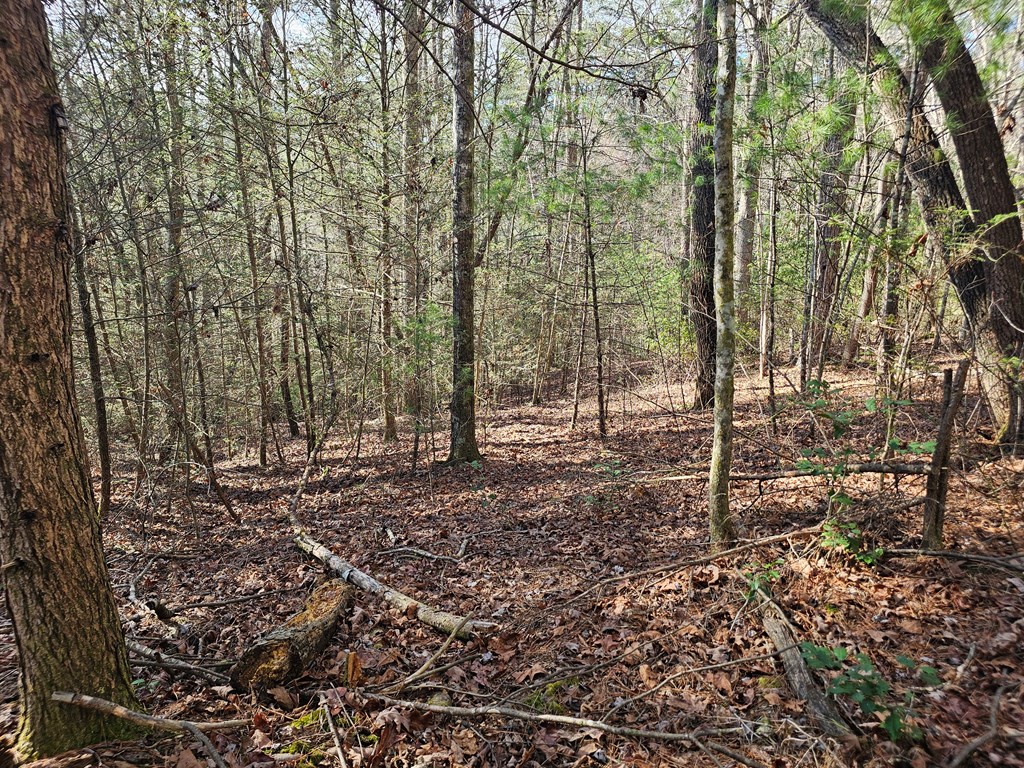 Lot 77 Roaring Forks Lane