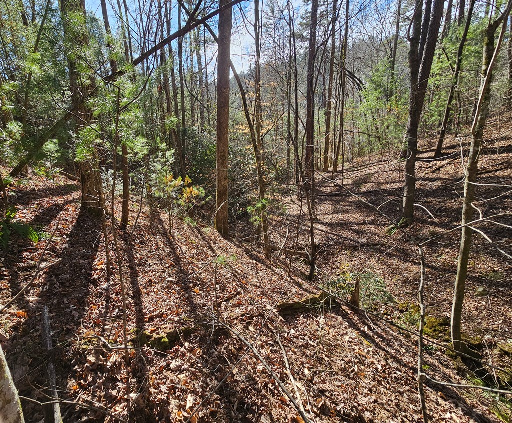 Lot 77 Roaring Forks Lane
