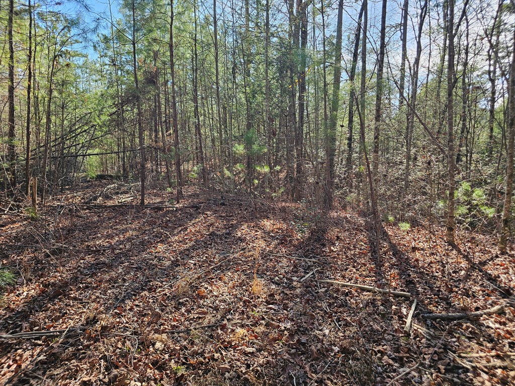Lot 77 Roaring Forks Lane