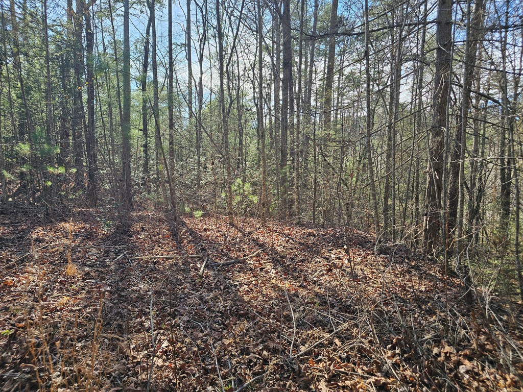 Lot 77 Roaring Forks Lane
