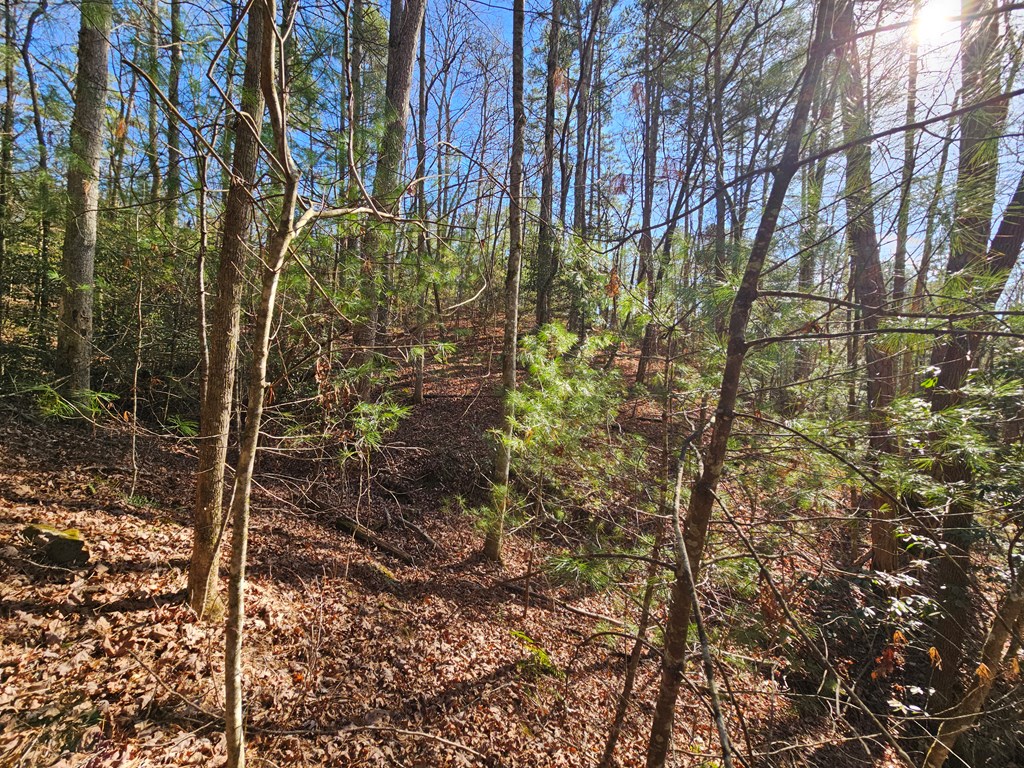 Lot 77 Roaring Forks Lane