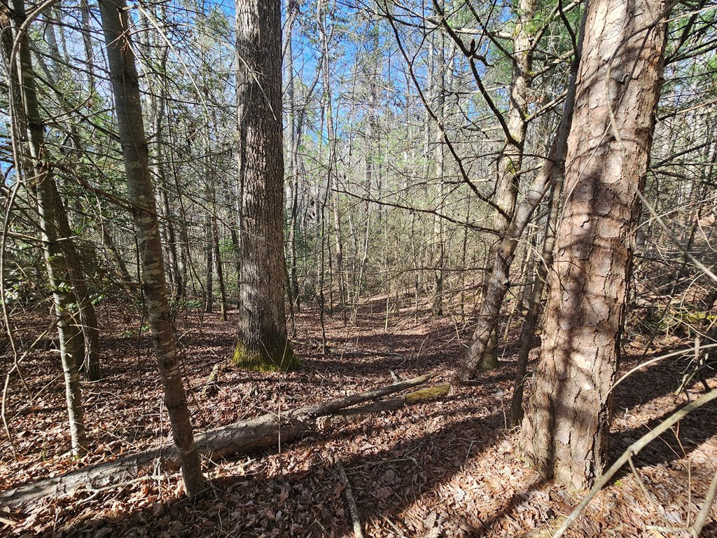 Lot 77 Roaring Forks Lane
