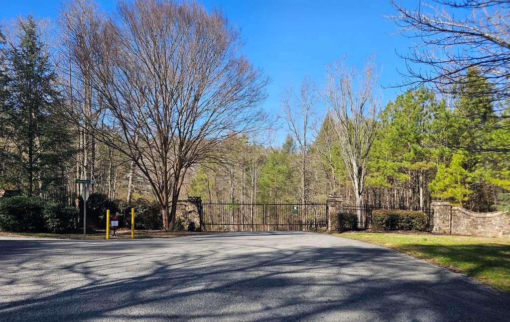 Lot 77 Roaring Forks Lane