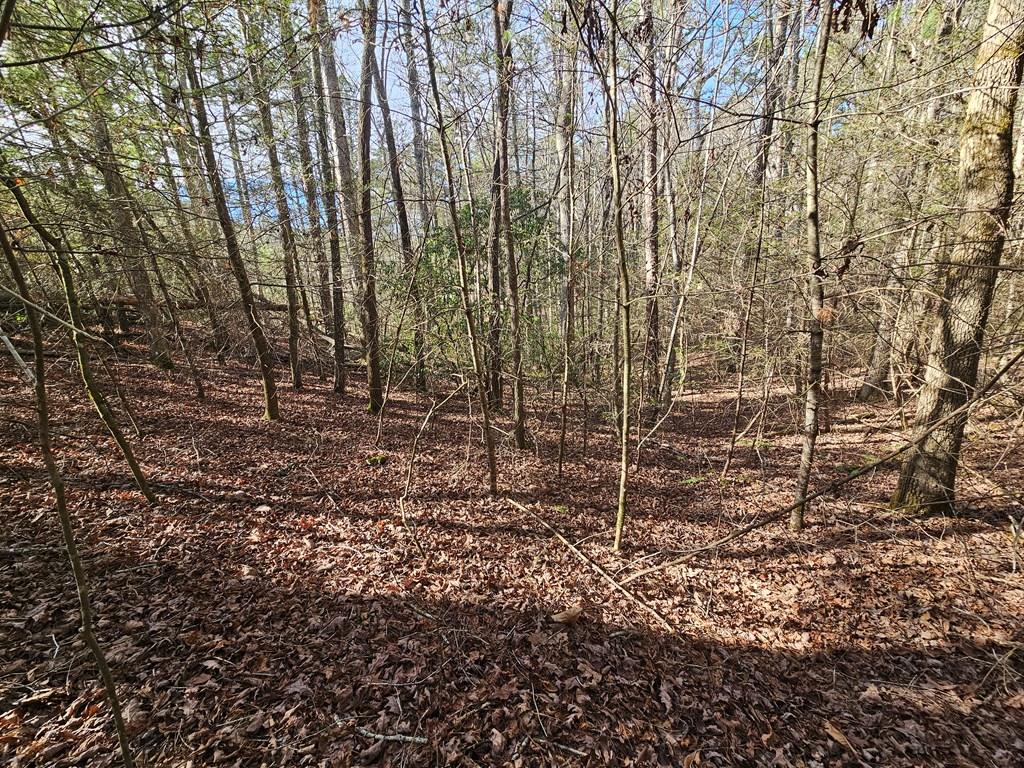 Lot 77 Roaring Forks Lane