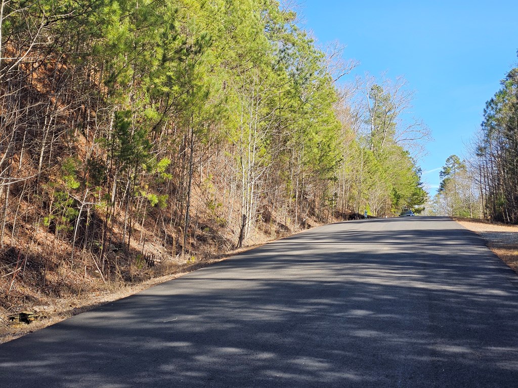 Lot 77 Roaring Forks Lane
