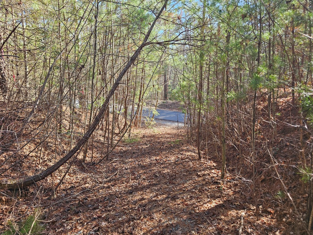 Lot 77 Roaring Forks Lane