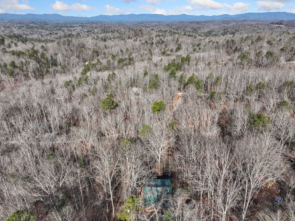 421 Cherokee Court