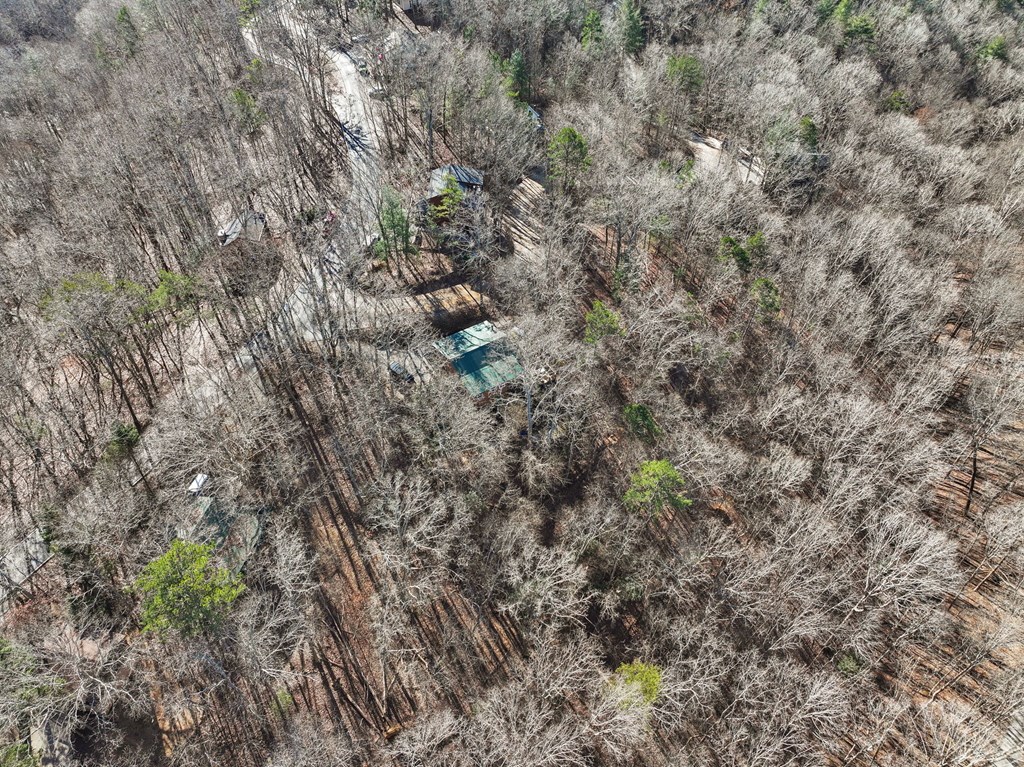 421 Cherokee Court