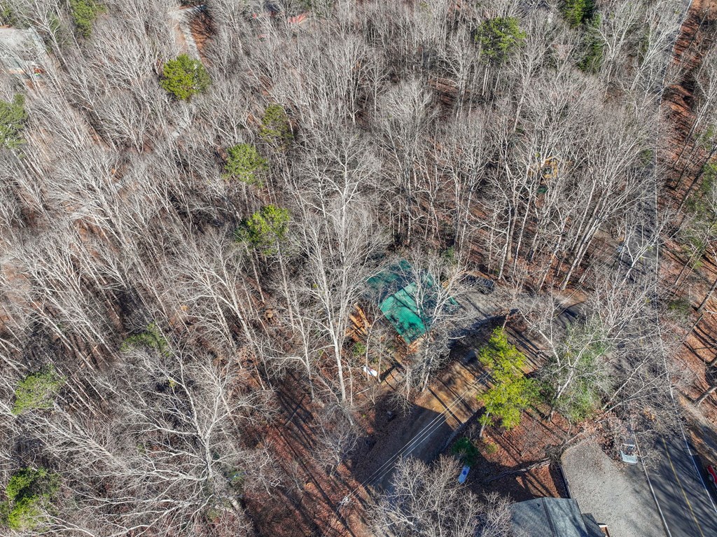 421 Cherokee Court