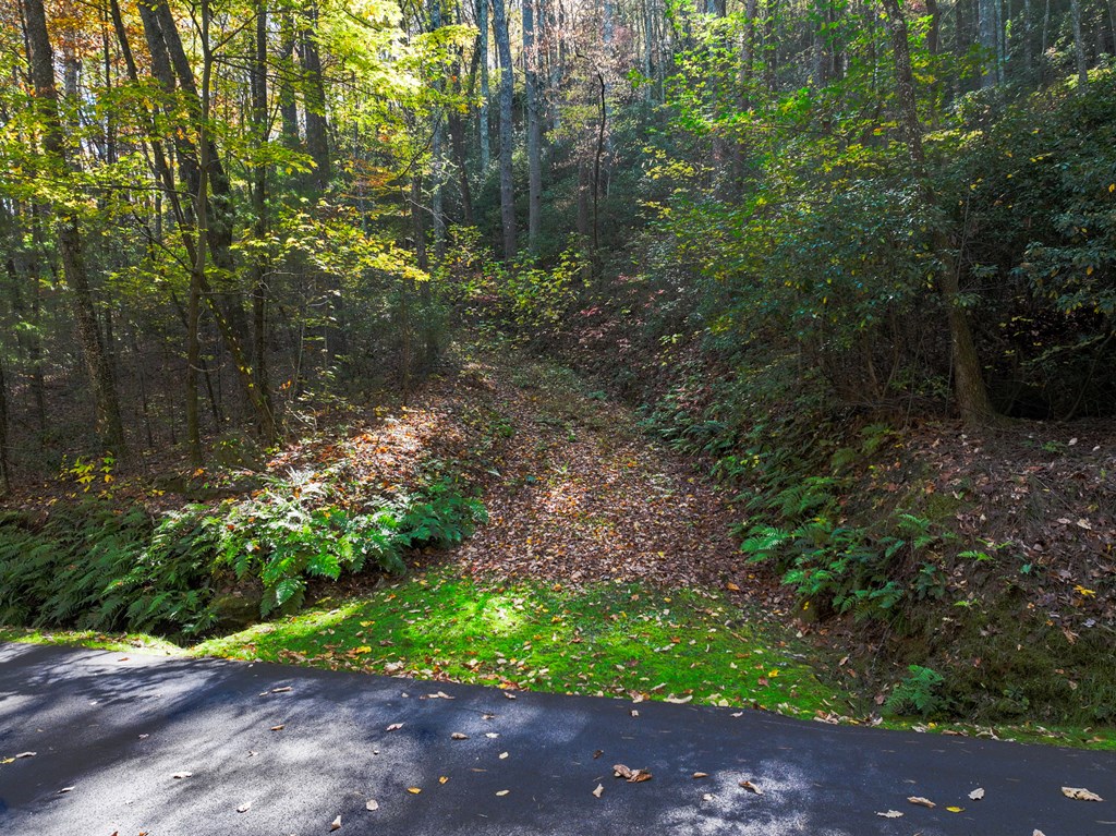 Lot 46 Utana Bluffs Trail