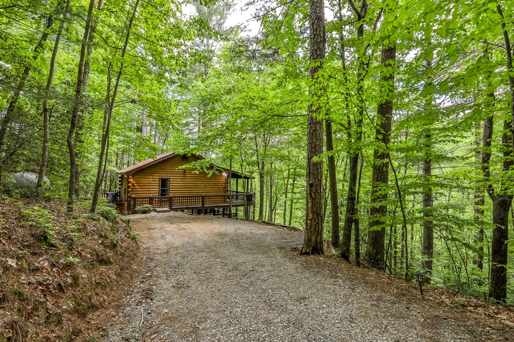 137 Little Beaver Drive