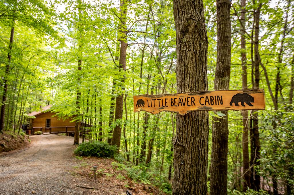 137 Little Beaver Drive