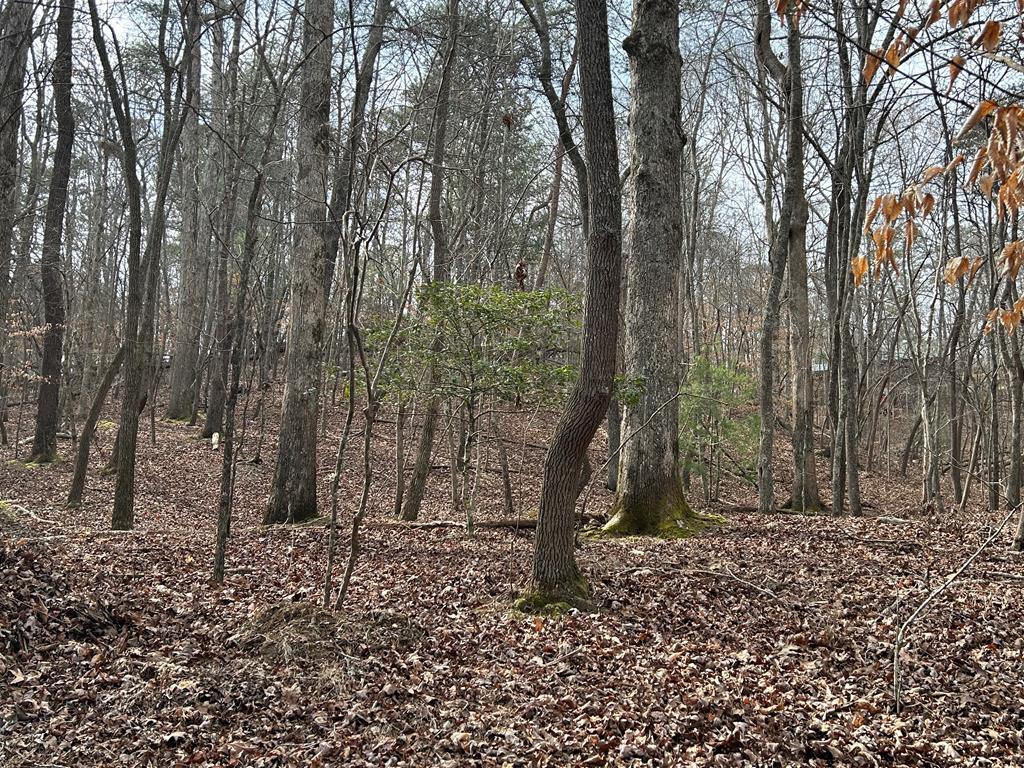 715/716 Hilary Court