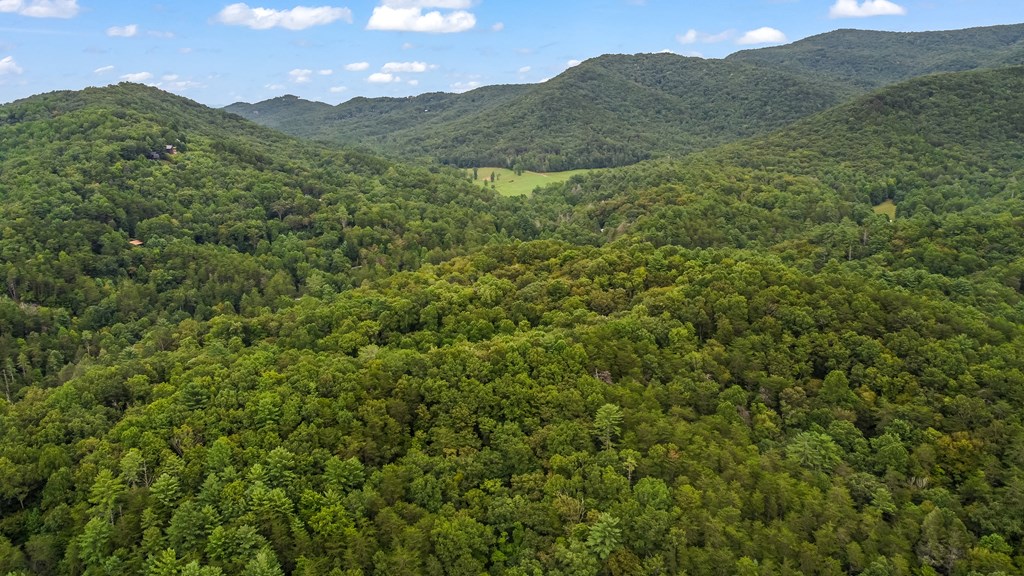 Lot 9 Laurel Creek Trail