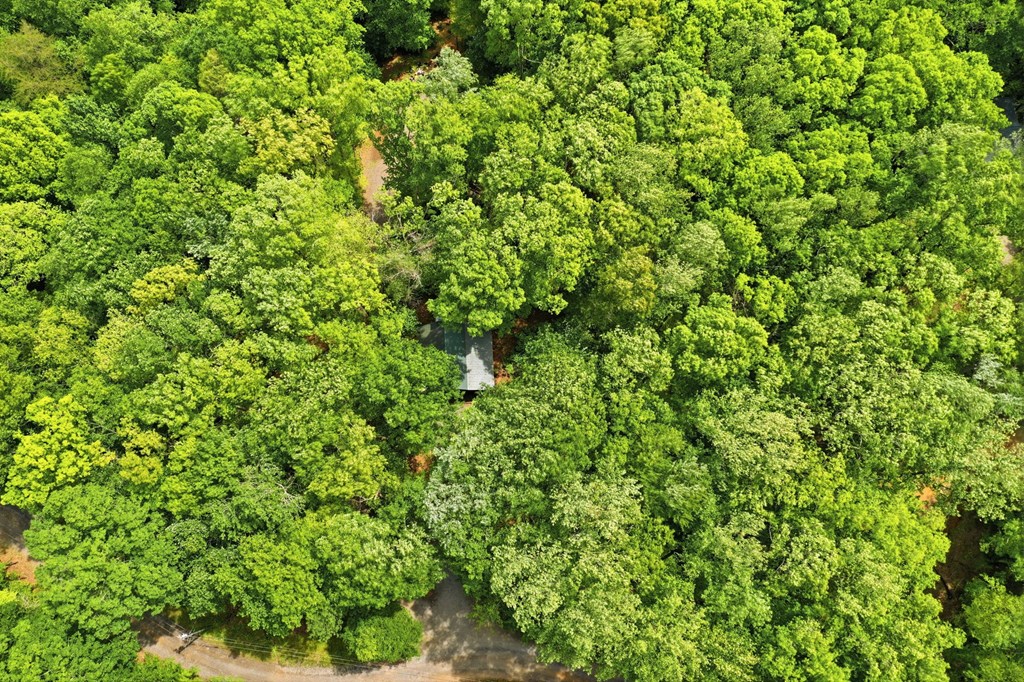 1564 Big Ben Road