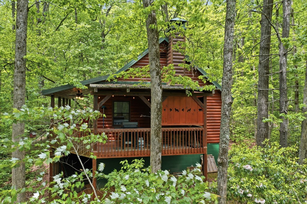 1564 Big Ben Road