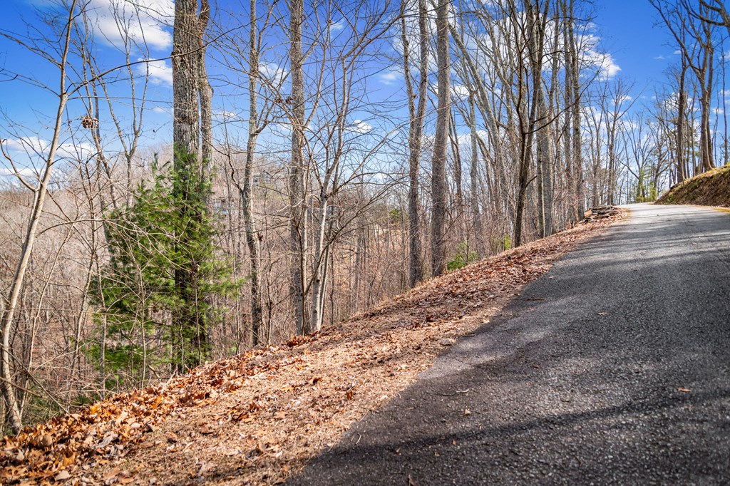 Lot 20 Raven Ridge Circle
