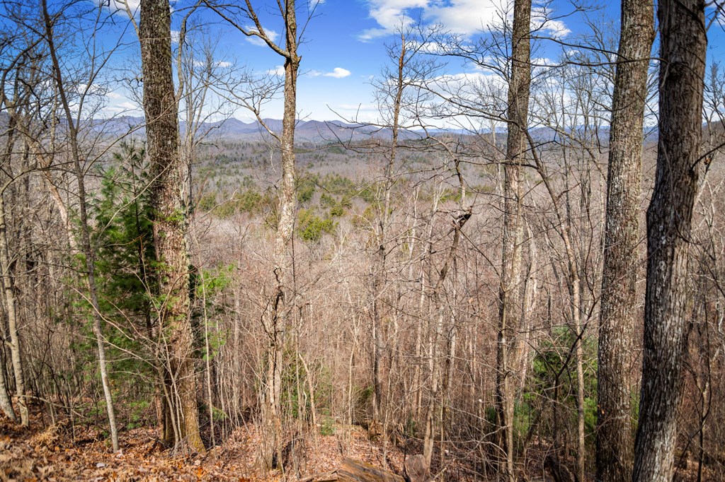 Lot 20 Raven Ridge Circle