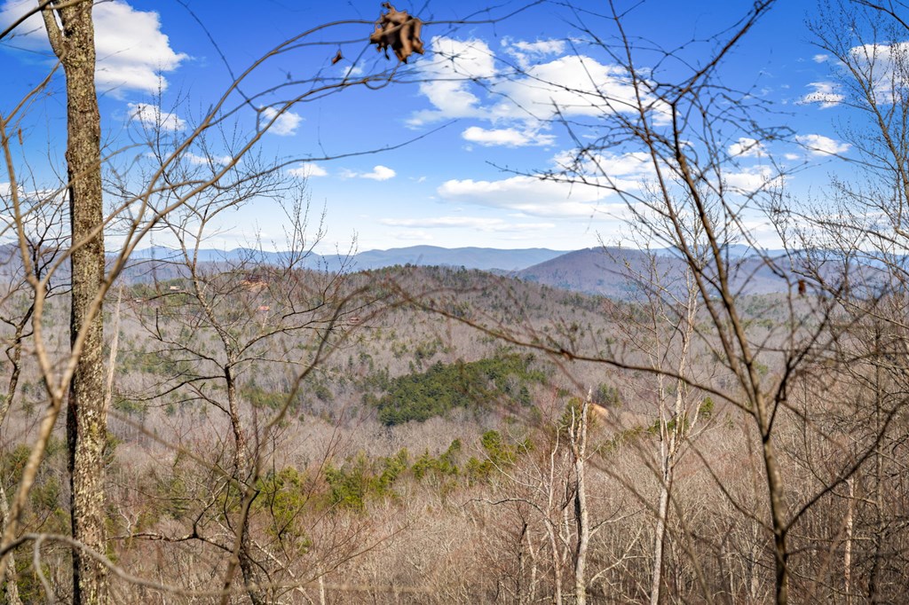 Lot 20 Raven Ridge Circle