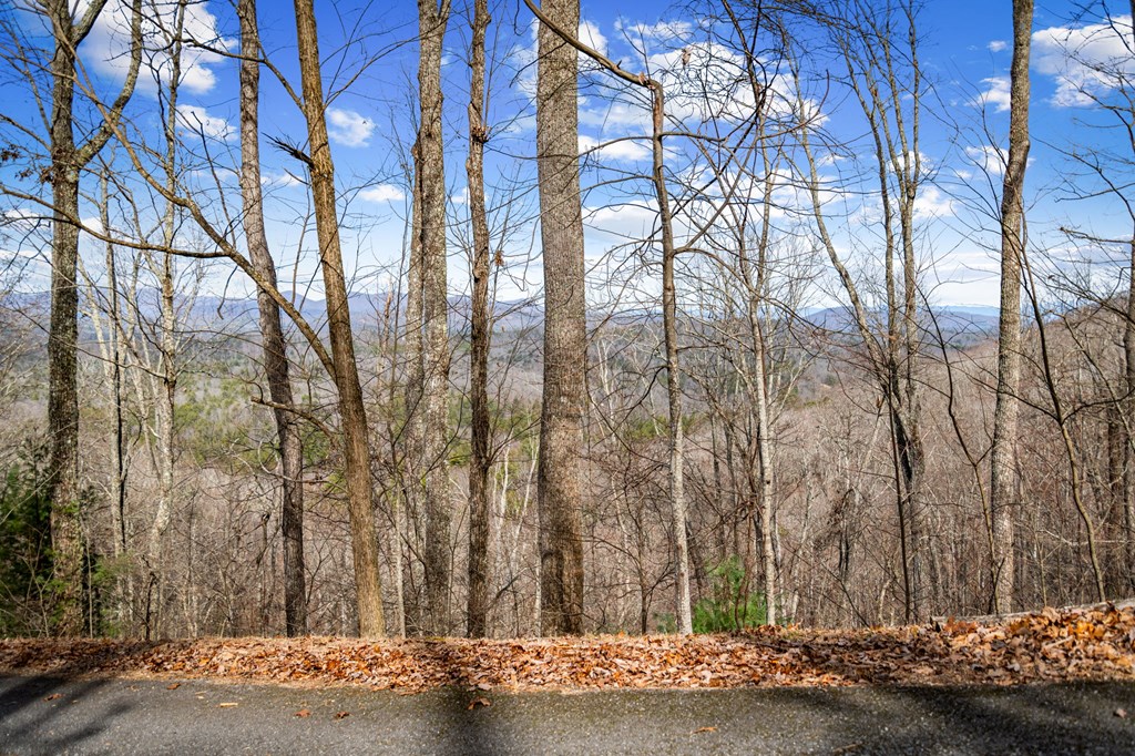 Lot 20 Raven Ridge Circle