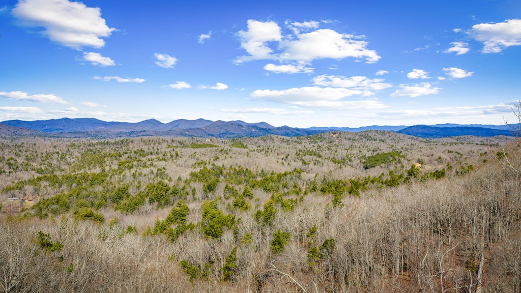 Lot 20 Raven Ridge Circle