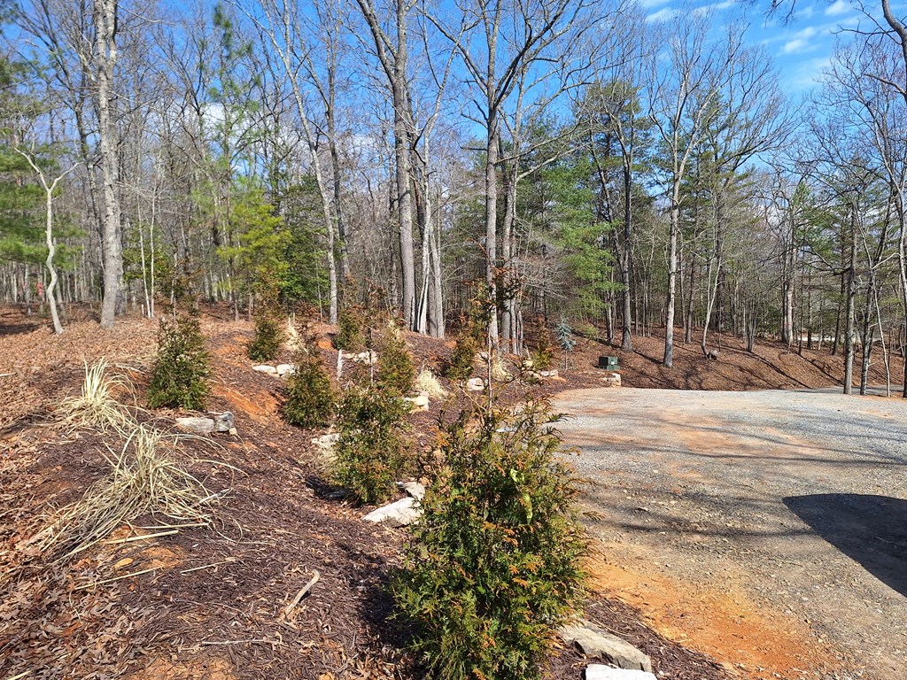 241 Wolf Creek Mountain Road