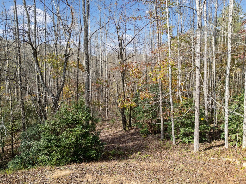 Lot 7 Highpoint Ridge Road