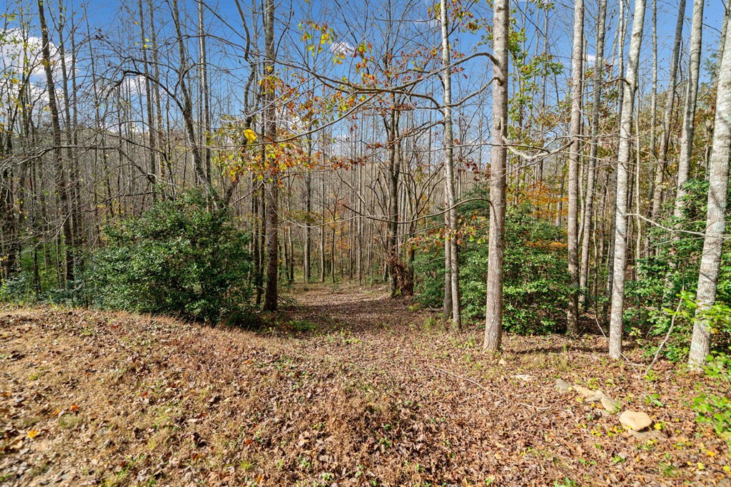 Lot 7 Highpoint Ridge Road