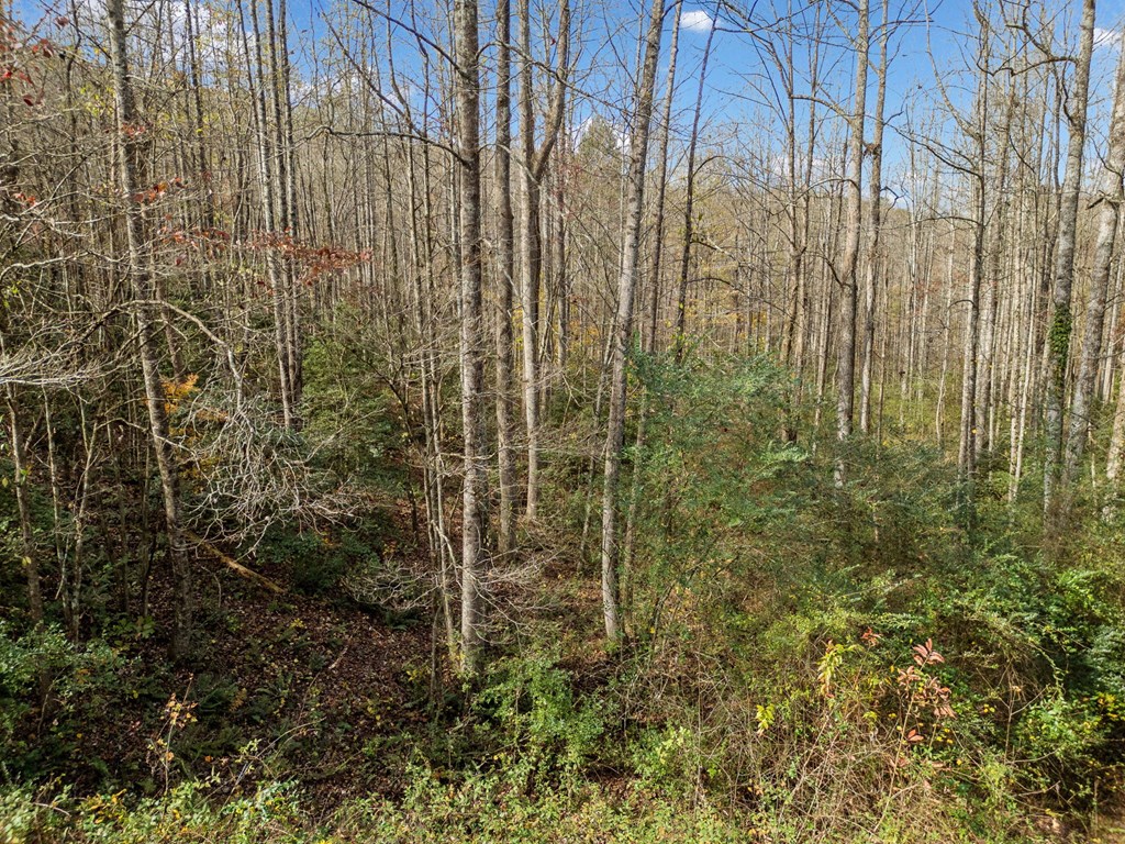 Lot 7 Highpoint Ridge Road