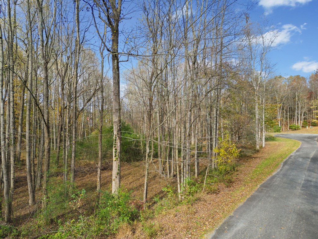 Lot 14 Highpoint Ridge Court