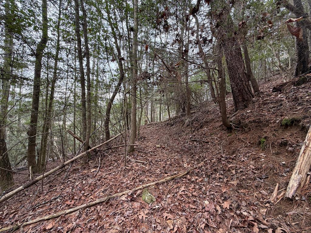 3.1 acre Maple Rest Lane