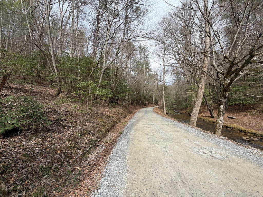 3.1 acre Maple Rest Lane