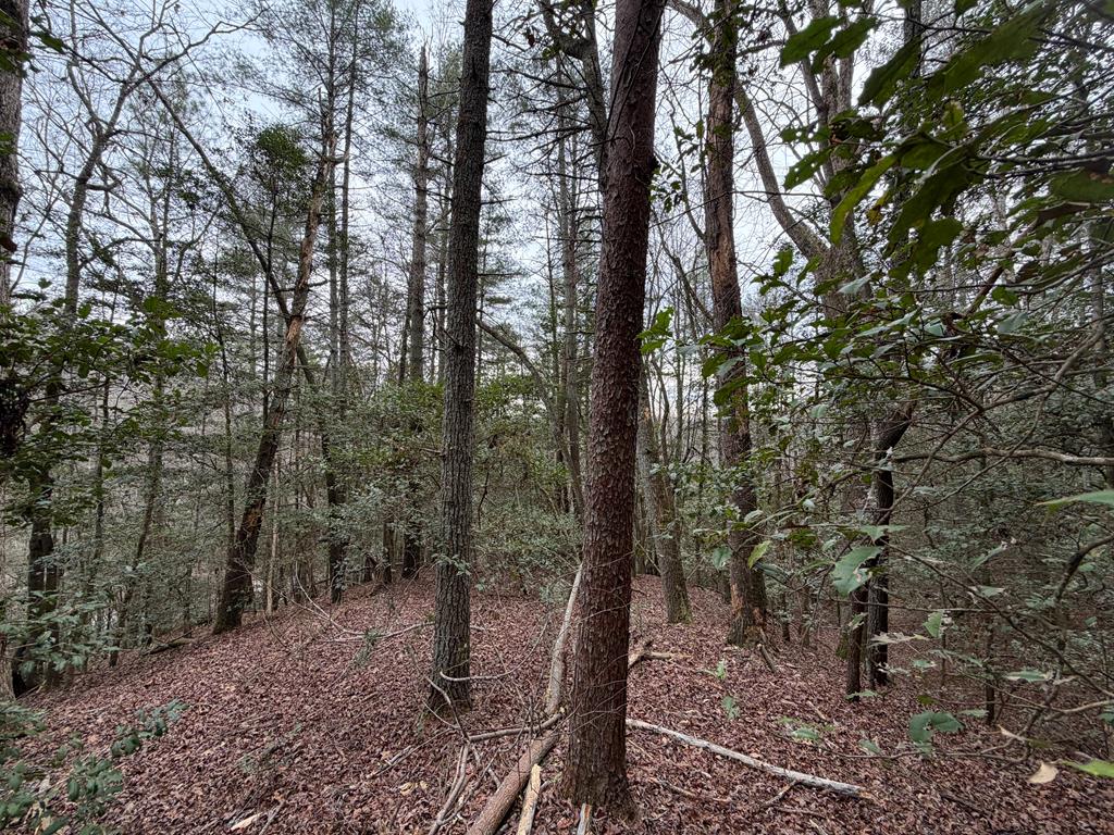 3.1 acre Maple Rest Lane