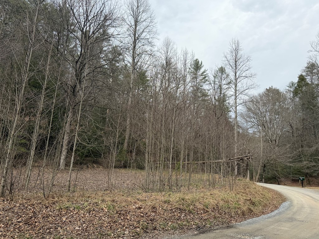 3.1 acre Maple Rest Lane