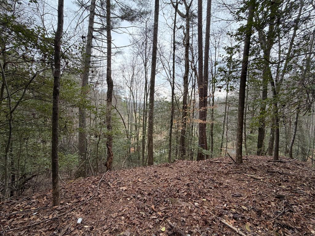3.1 acre Maple Rest Lane