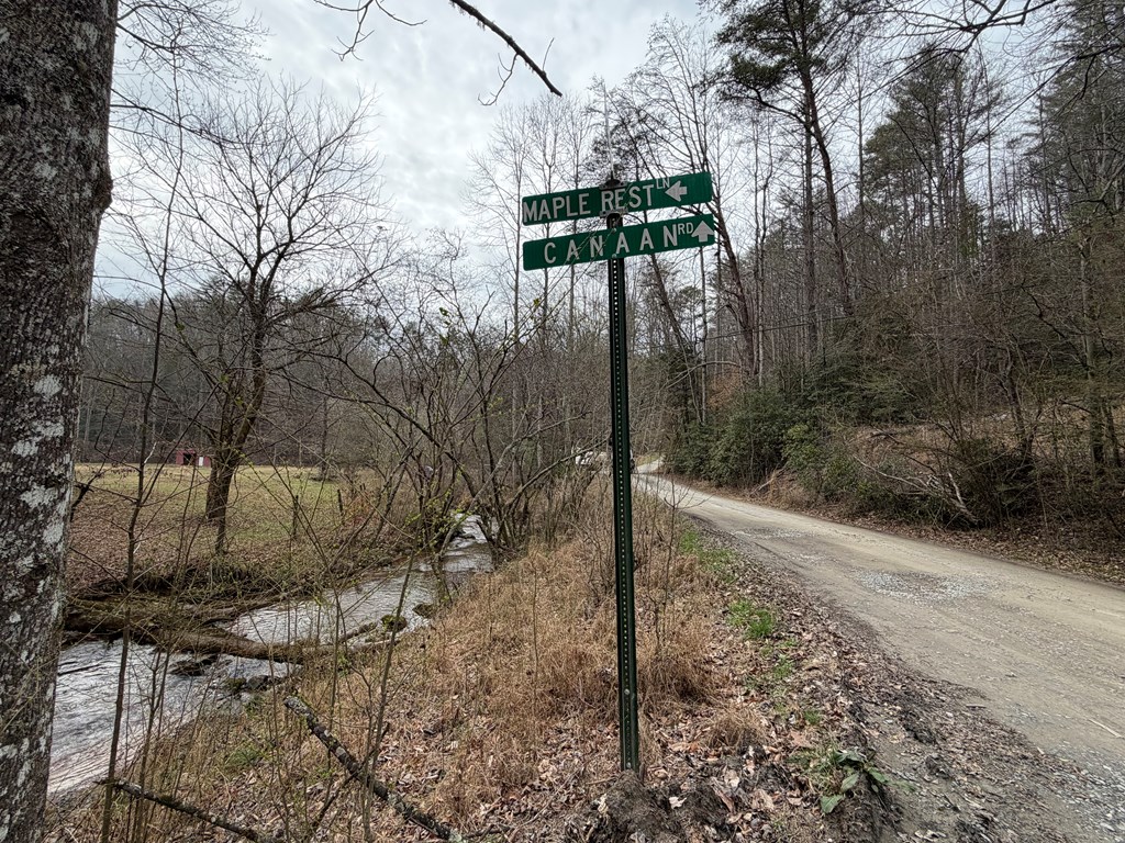 3.1 acre Maple Rest Lane